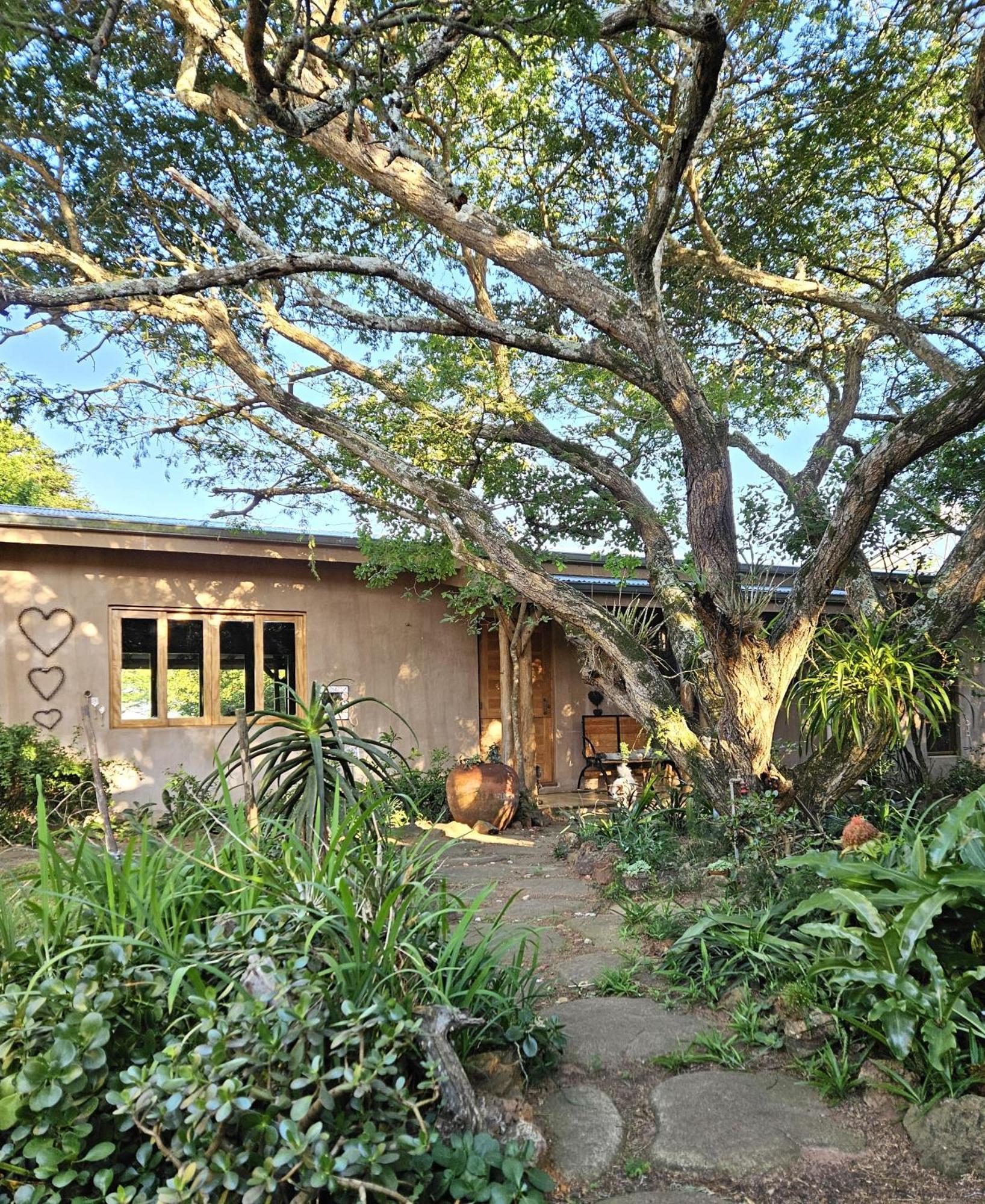 Tchagra House Villa Hluhluwe Ngoại thất bức ảnh
