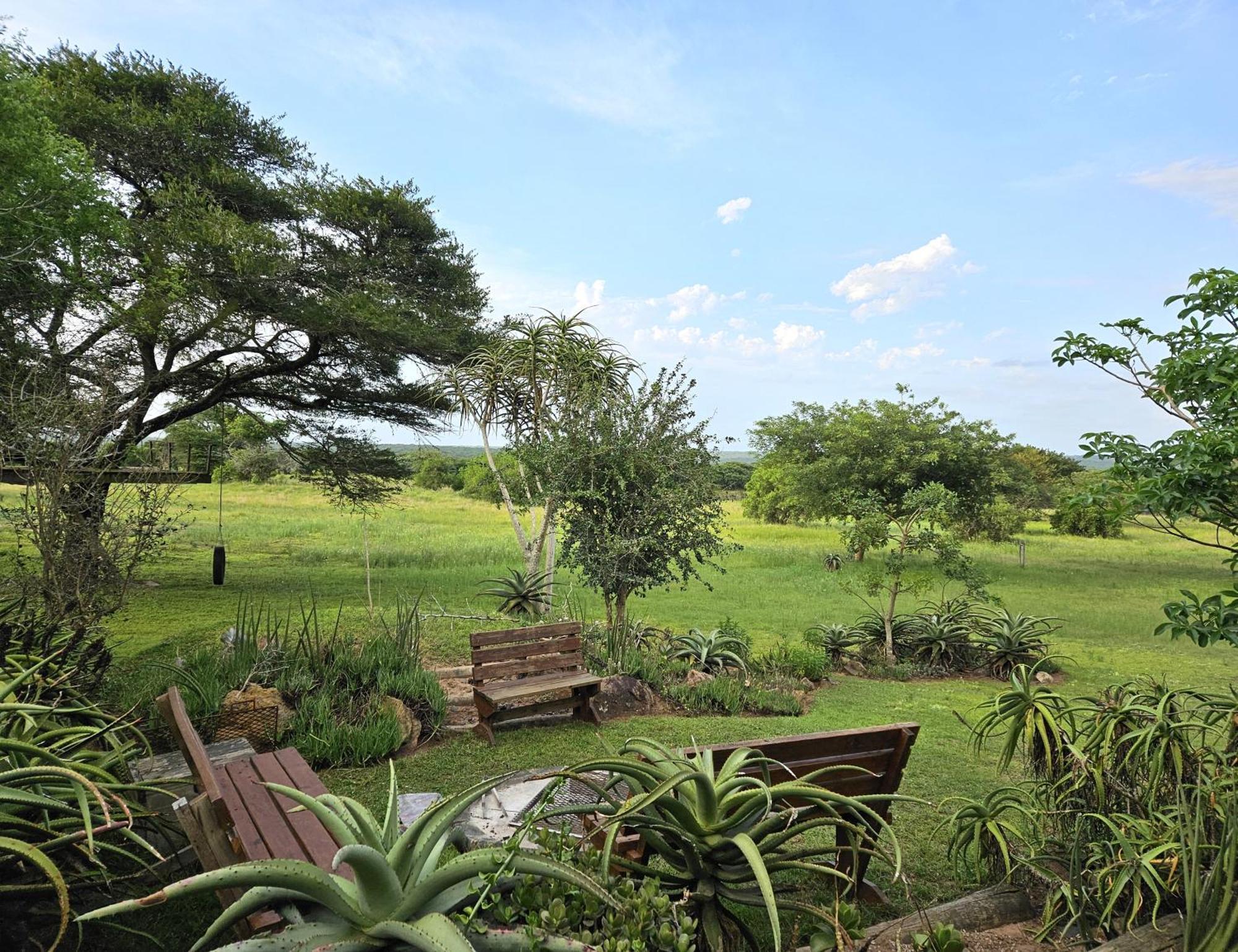 Tchagra House Villa Hluhluwe Ngoại thất bức ảnh